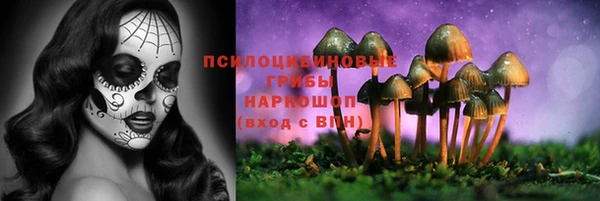 гашик Каменск-Шахтинский
