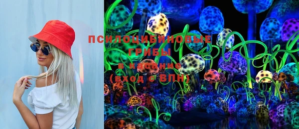 ПСИЛОЦИБИНОВЫЕ ГРИБЫ Алексин