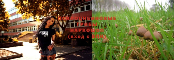 ПСИЛОЦИБИНОВЫЕ ГРИБЫ Алексин