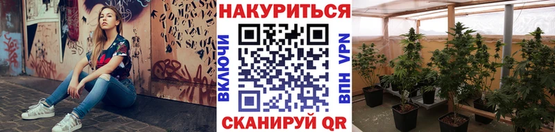 Марихуана конопля  где найти наркотики  darknet официальный сайт  Бикин 